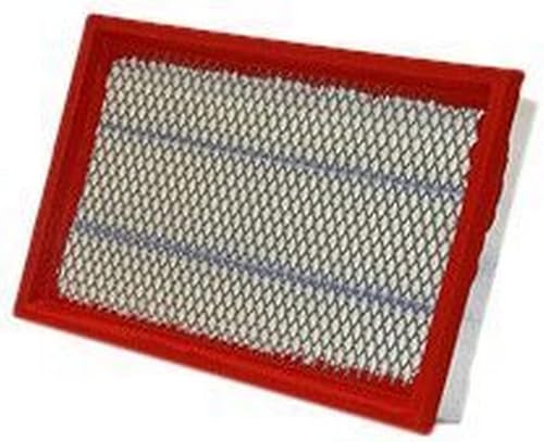 WIX Filtros - Panel de filtro de aire 46116, paquete de 1