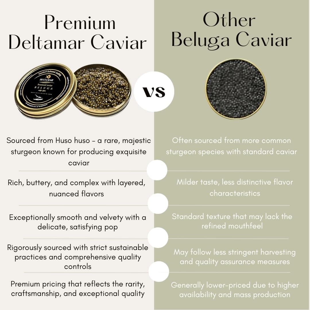 Beluga Caviar 30 g - Classical Sturgeon Kaviar - Premium Quality Siberian Huso Huso Orginial Finest Caviar - Fine Flavor and Quality - Deltamar Caviar CITES Certified