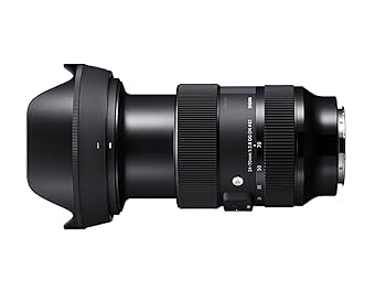 Amazon.com : Sigma 24-70mm F2.8 DG DN Art for Sony E Lens