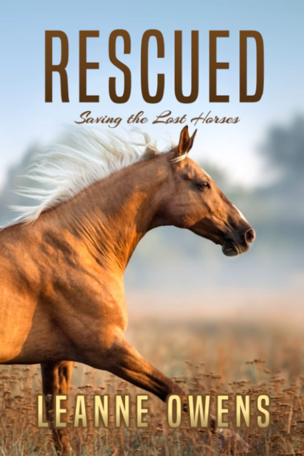 RESCUED: Saving the Lost Horses: 2 (The Dimity Horse Mysteries)