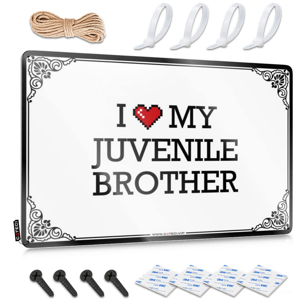 I Love My Juvenile Brother Haves Preppy - Room Decor Indie Aesthetic Retro Wall Art Wall Art Decoration(20X30CM)