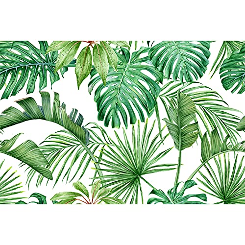 Papier peint monstera repositionnable pour masquer les défauts de mur