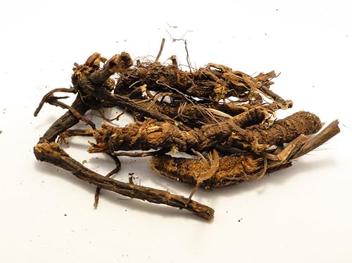 Hierbas a granel: Raíz de Osha (Artesanía Silvestre)