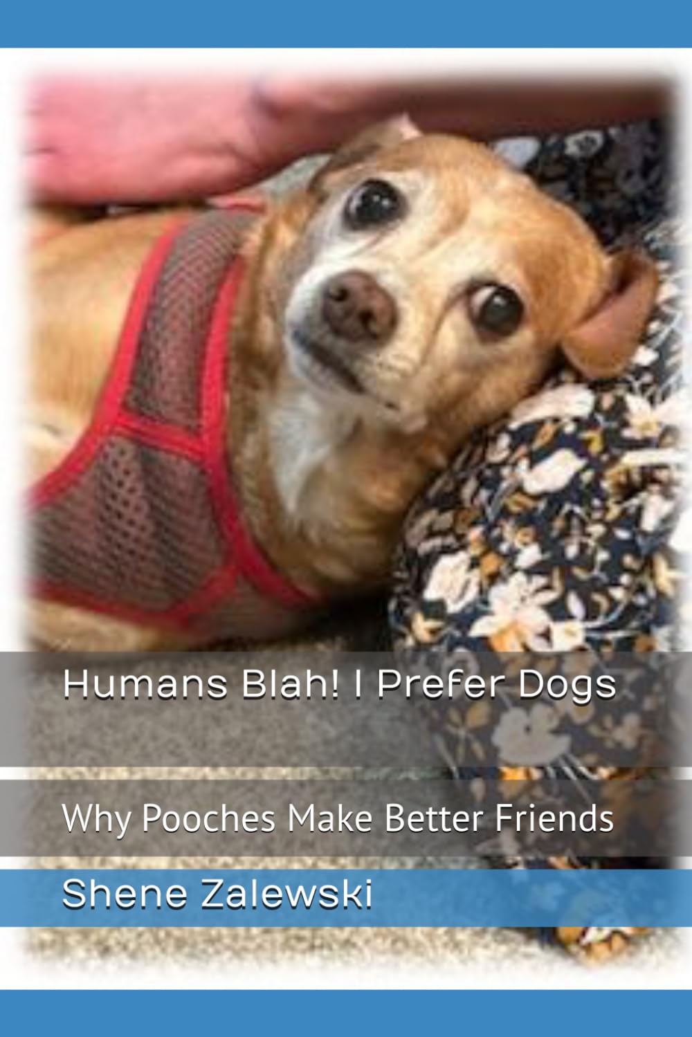 Humans Blah! I Prefer Dogs: Why Pooches Make Better Friends