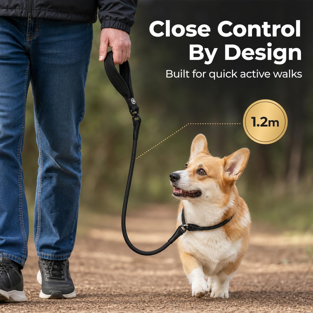 BullyBillows Guinzaglio da addestramento per cani |Dog Lead | Antistrappo e Antisoffocamento | 1,4 m con luce attiva | Materiali di alta qualità | Per cani forti e di tutte le razze |Nero