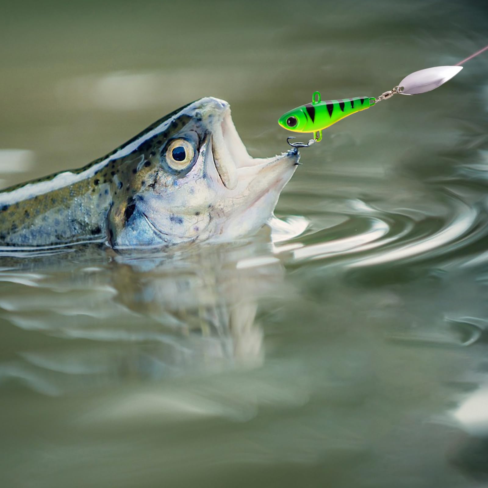Spoon Trout Area 12 Esche Artificiali 12 Girelle Per Pesca - Cucchiaini Per Trota, Persico, Luccio - Kit Spinning Kit Pesca Spinning - Foto 6