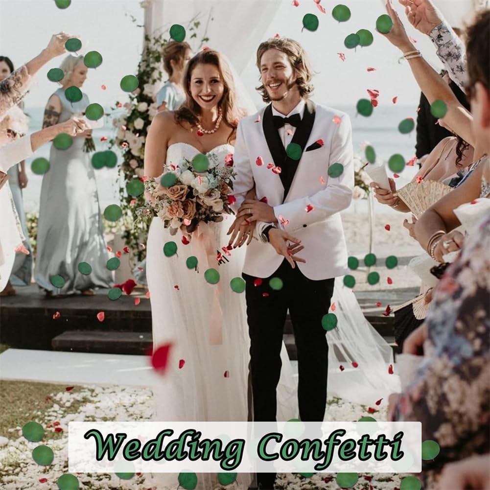 Hochzeitskonfetti, natürliche getrocknete Eukalyptusblätter, 200 Stück, konservierte echte Eukalyptusblätter für Konfetti, Hochzeitsfeier, Dekoration, biologisch abbaubar