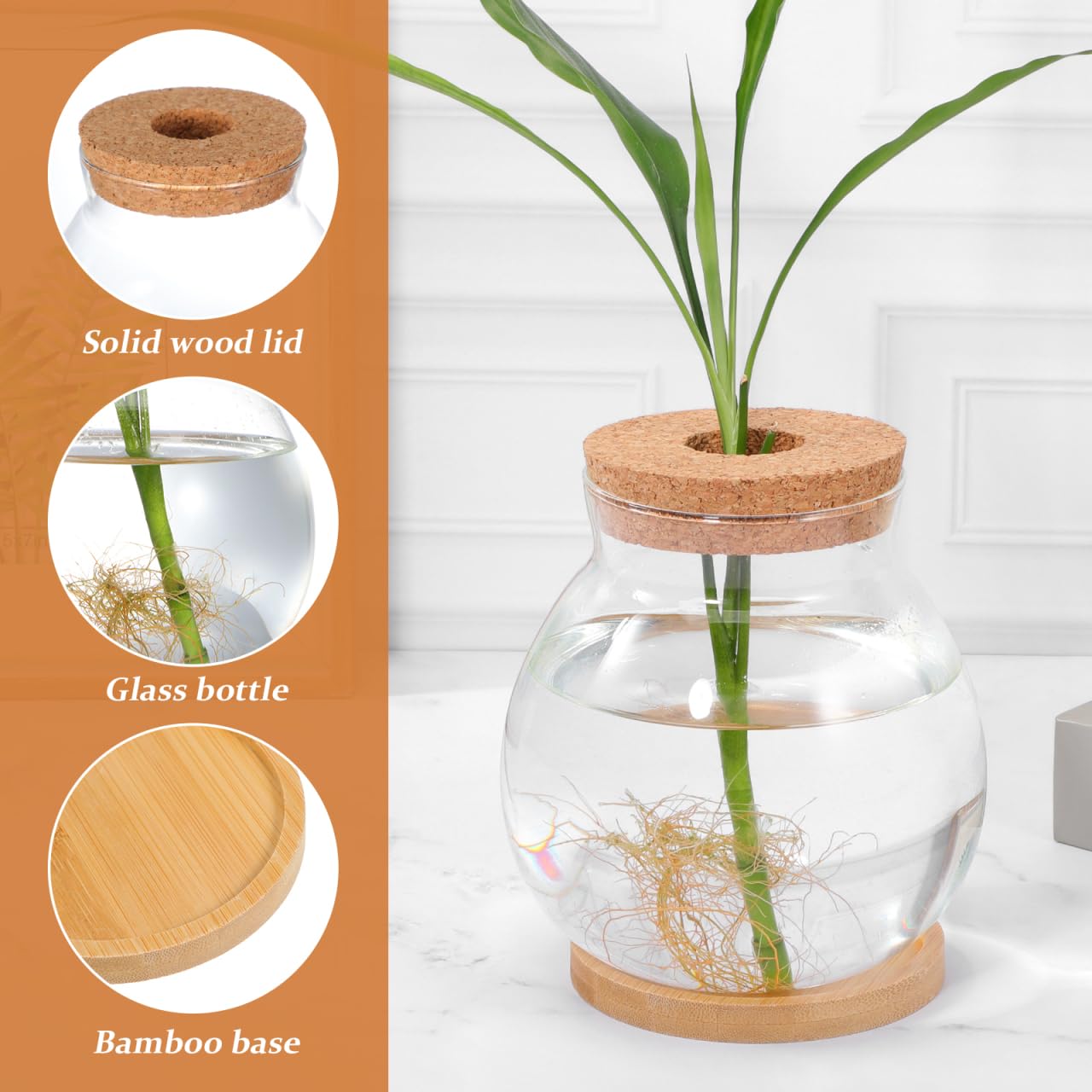 Aquarium hydroponique de bureau avec base en verre Betta Aquarium décoratif pour plantes pour la décoration