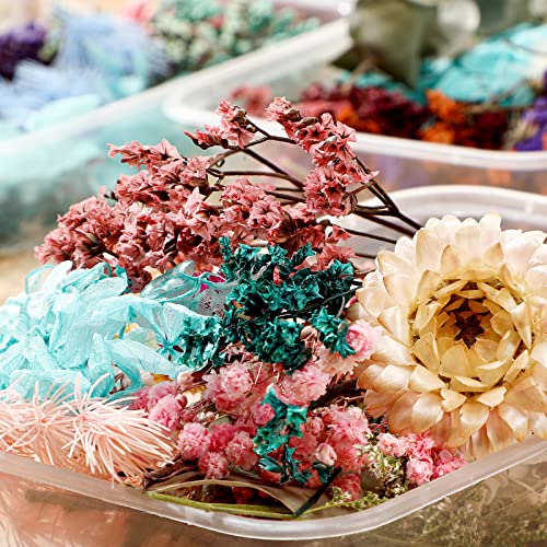 Flores secas prensadas para resina 12 cajas miniatura 4