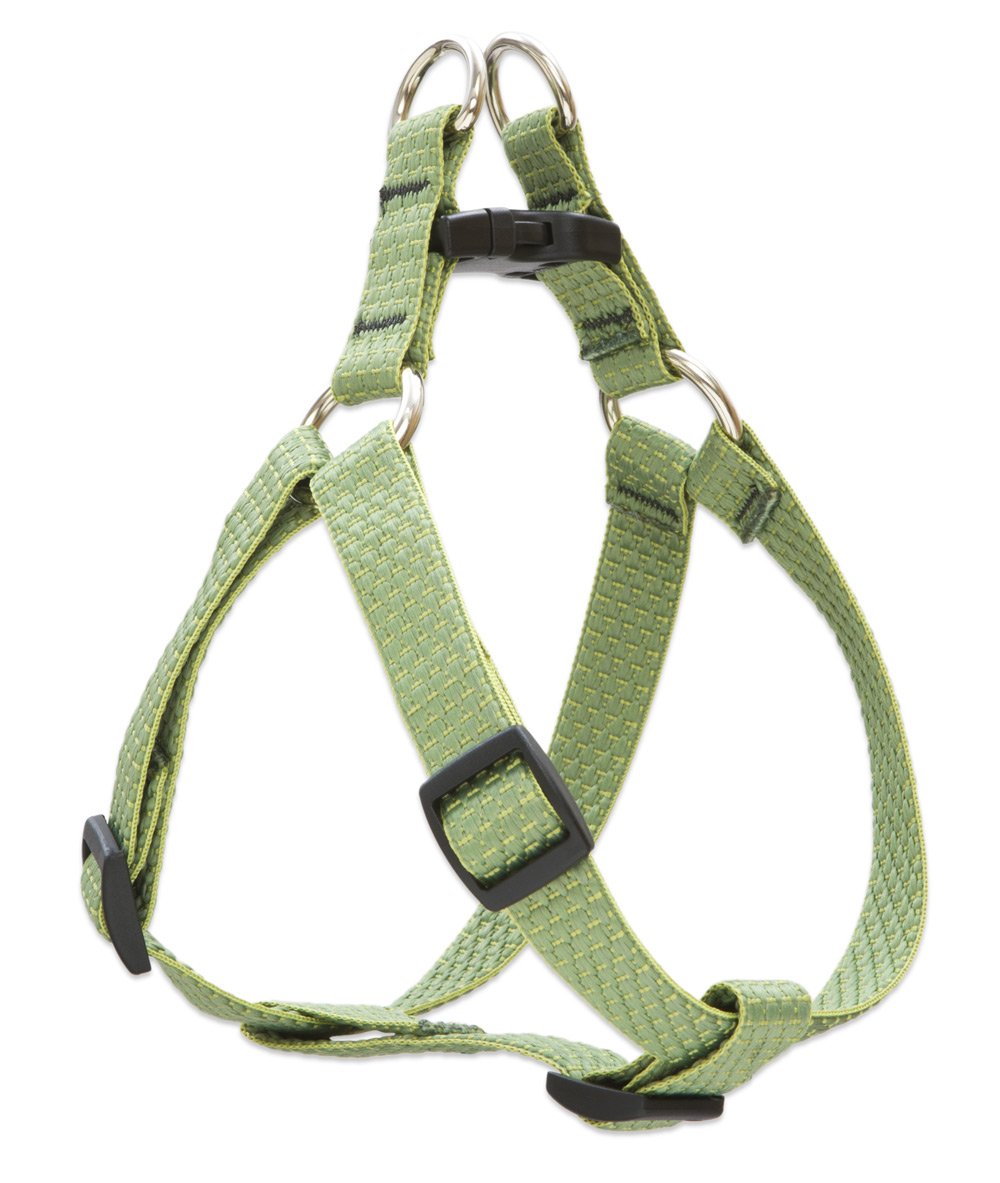 Mousse pour chiens LupinePet Eco pour soulager les articulations sensibles