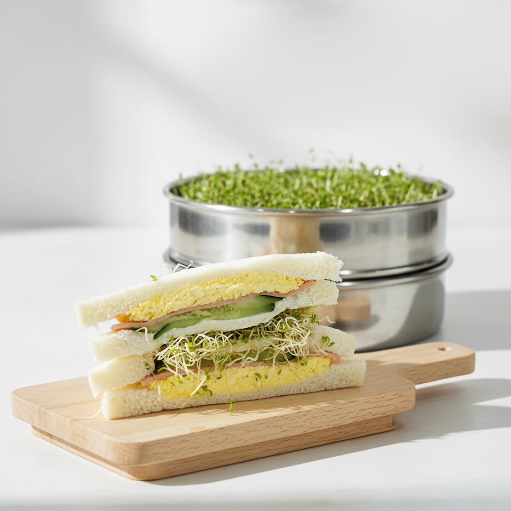 Bandejas de germinación Kit de germinación de Semillas apilables de Acero Inoxidable Bandejas de Cultivo de microgreens de Malla de 2 Niveles con Base y Tapa Jardín Interior