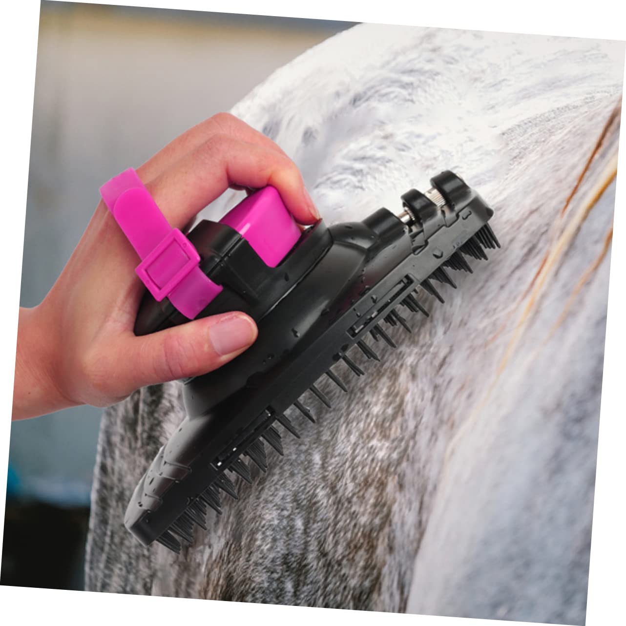 ibasenice Plastic Horse Brush Horse Bathing and Massage Tool Soft Cleaning Brush for Horse Grooming Essential Horse Care Supplies Durable and Practical for Everyday Use