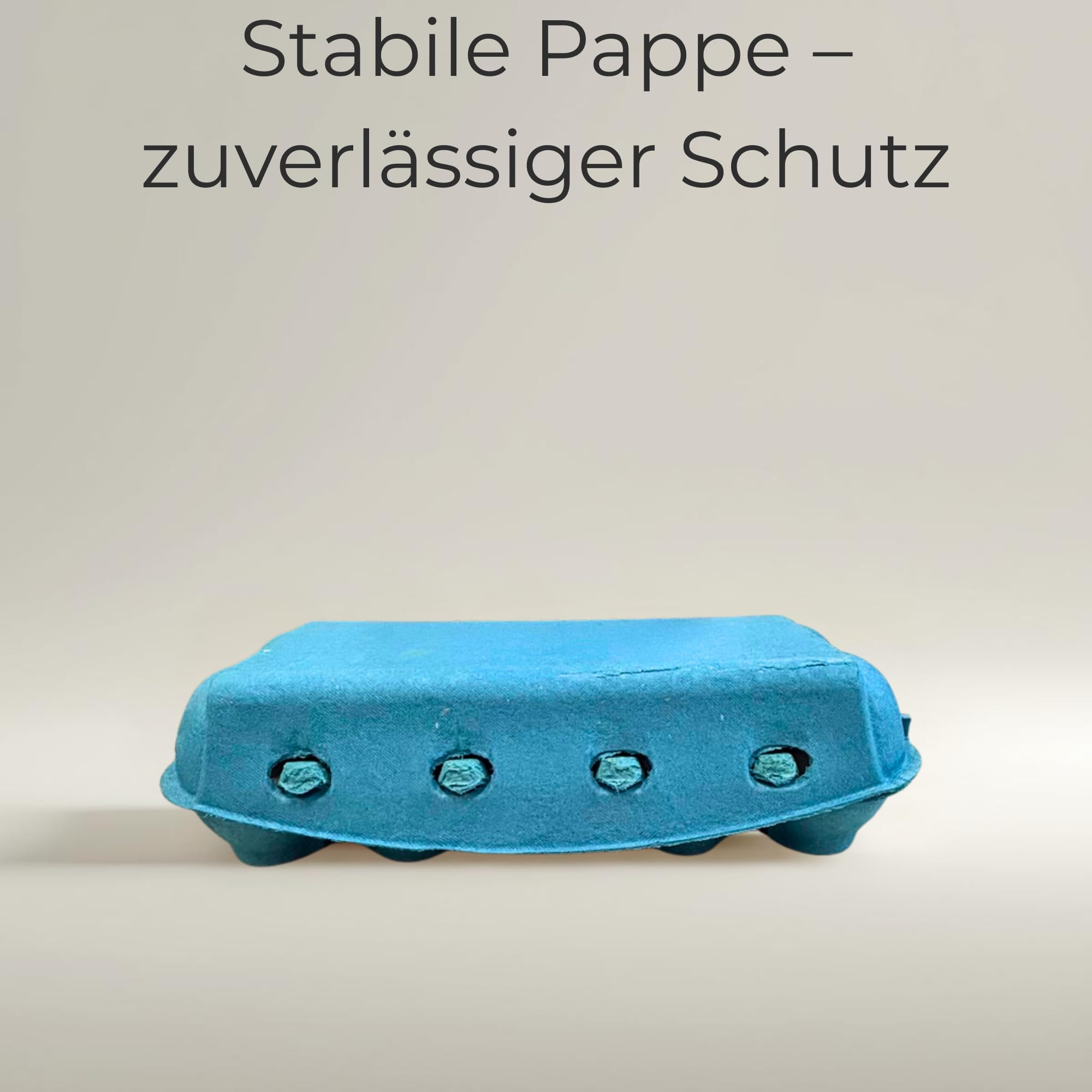 Ingbertson Eierpappen – 115 Stück für je 10 Eier | Stabile Eierkartons aus Pappe | Sicherer Transport & Aufbewahrung von Hühnereiern (Sky Blue)