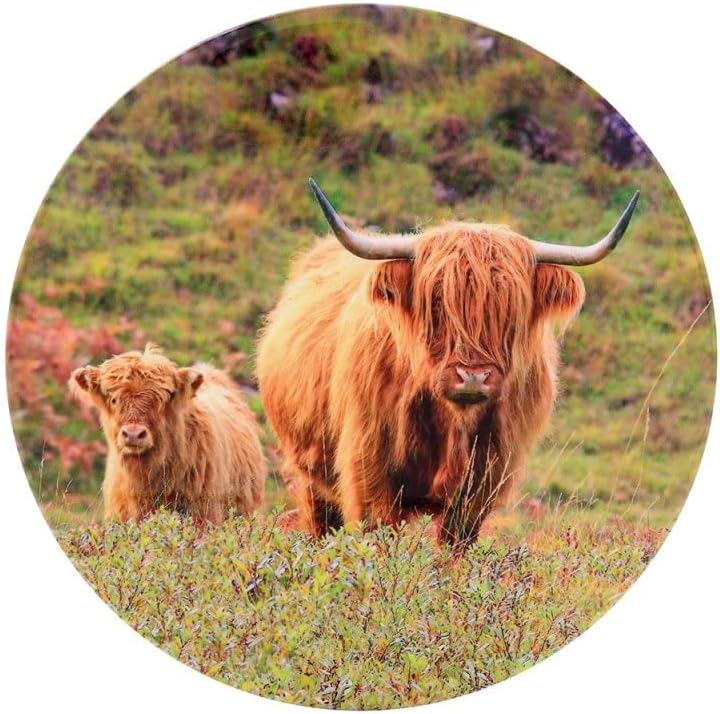 Lesser & Pavey Cow & Calf Trivet for Kitchen & Home | Ceramic British Designed Trivets for Kitchen Accessories | Heat Resistant Trivet Rest for All Type of Pots and Kitchen Utensils - Pan Pots