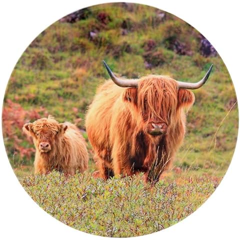 Dessous de Plat Vache et Veau - Lesser & Pavey Cover