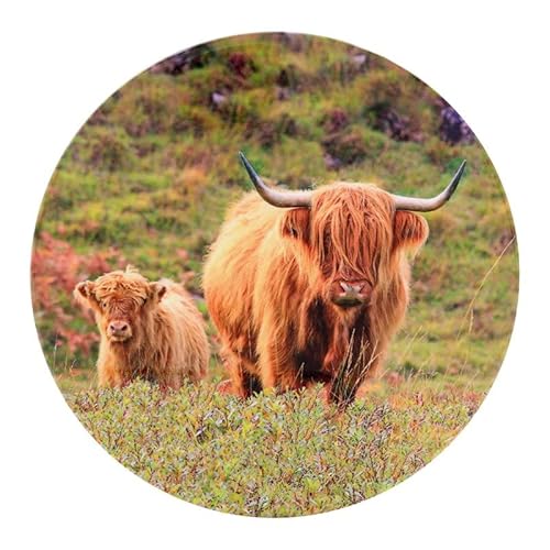 Lesser & Pavey Cow & Calf Trivet For Kitchen & Home | Ceramic British Designed Trivets For Kitchen Accessories | Heat Resistant Trivet Rest For All Type of Pots and Kitchen Utensils - Pan Pots