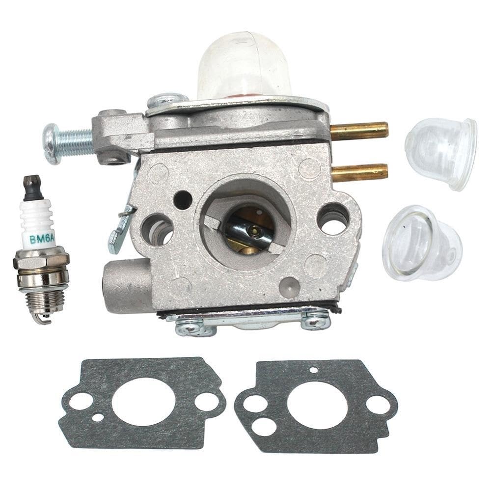 Tools parts Carburetor for MTD RM2510 RM2560 RM2570 RM2520 RM2700 M2500 RM2599 RM2750 H2500 BL110 BL160 H25B RM125 RM2510 RM2560 RM125 Accessories