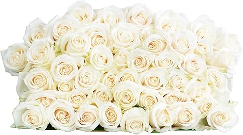 Miniatura 9 de Elige tu propia fecha de entrega 18 rosas rosadas + ramo de flores frescas de aliento de bebé con jarrón  Diseñado por Arabella Bouquets  Flores