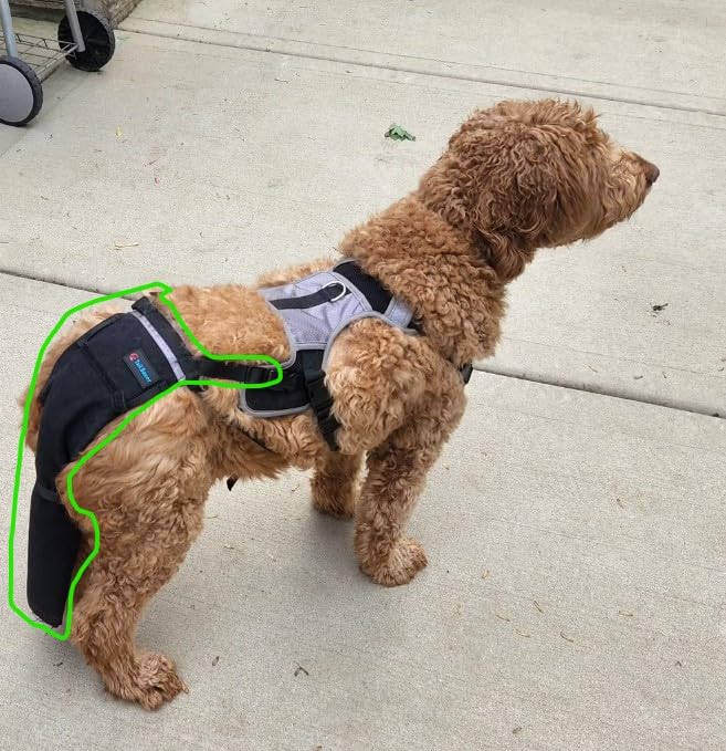 Image of Large-Plus Happy Tail Protector for German Shepherd - Check Size Chart Image for FIT