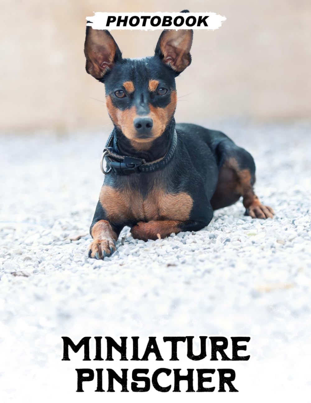 Miniature Pinscher Photo Book: Playful Mini Pins Images Displaying Energetic Temperament And Sleek Body Structure In Vibrant Pet Photography
