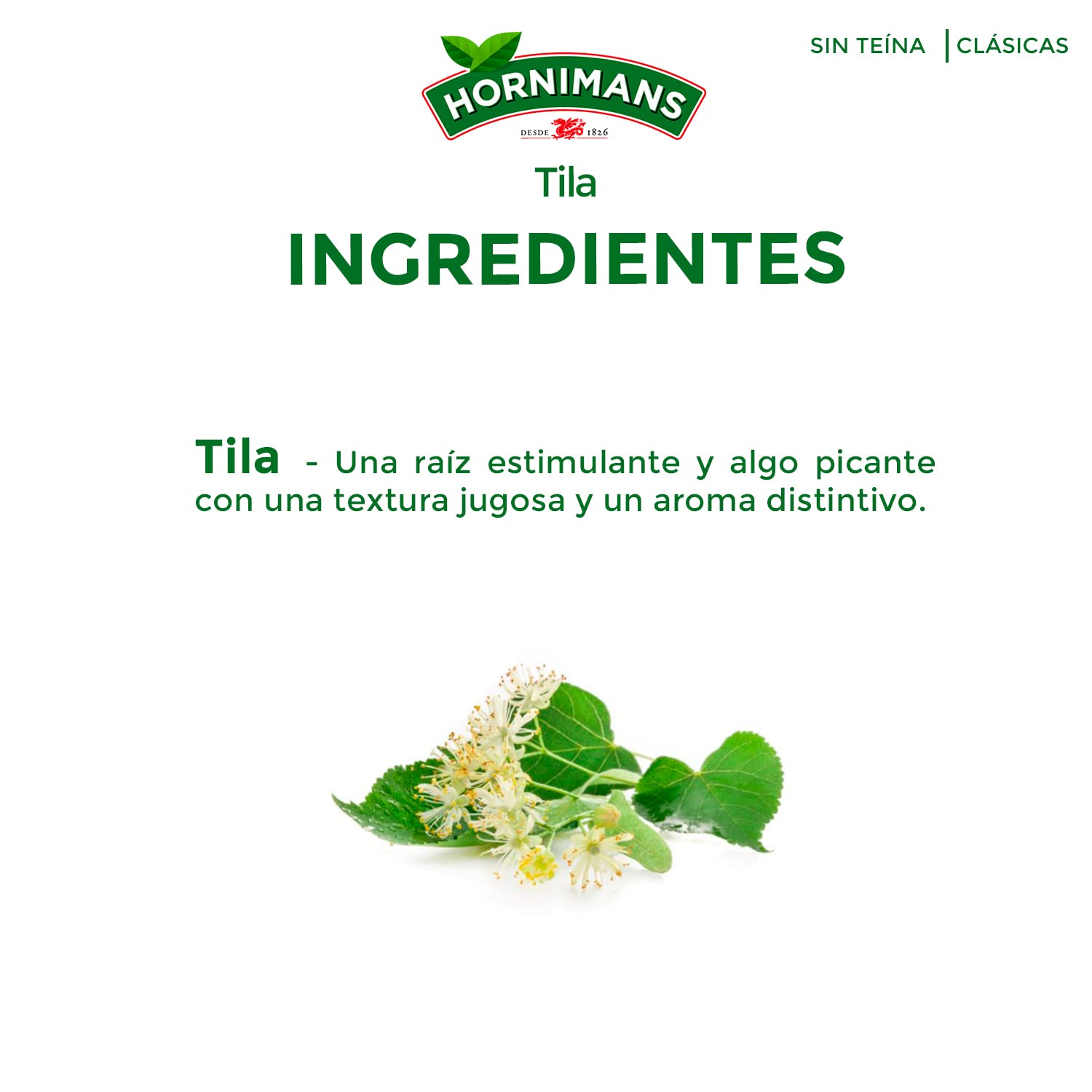 Hornimans Tila Infusión con Ingredientes 100% Naturales | 25 bolsitas | Sin Teína