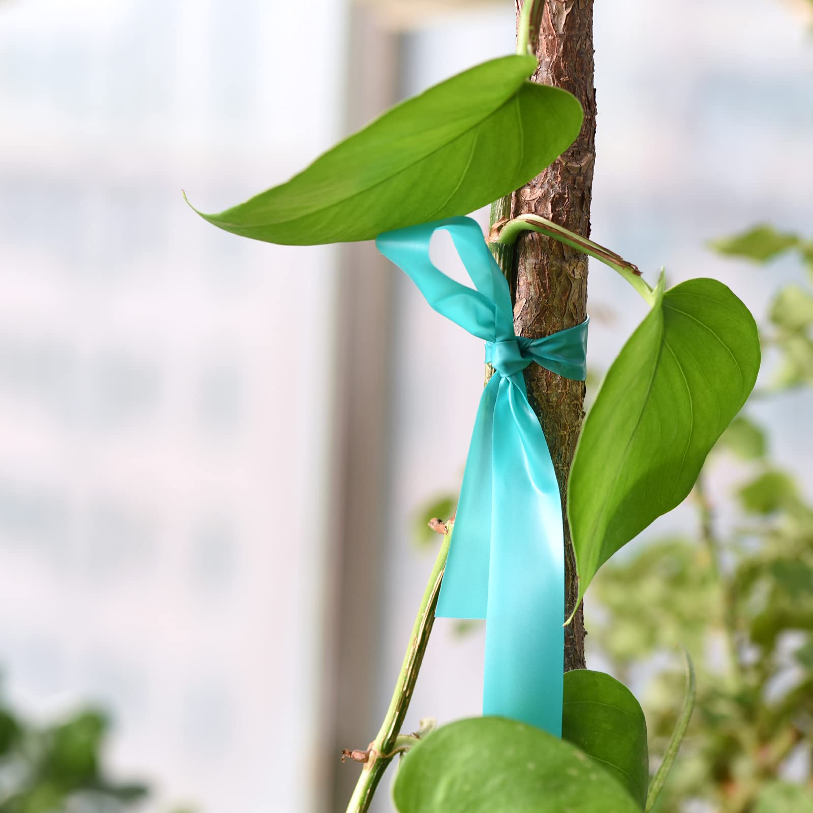 TELENT OUTDOORS Cinta elástica de 1 pulgada de ancho, 200 pies, reutilizable, para plantas de jardín, cintas verdes para plantas, cinta gruesa de vinilo de jardín para ramas, flores, tomates,