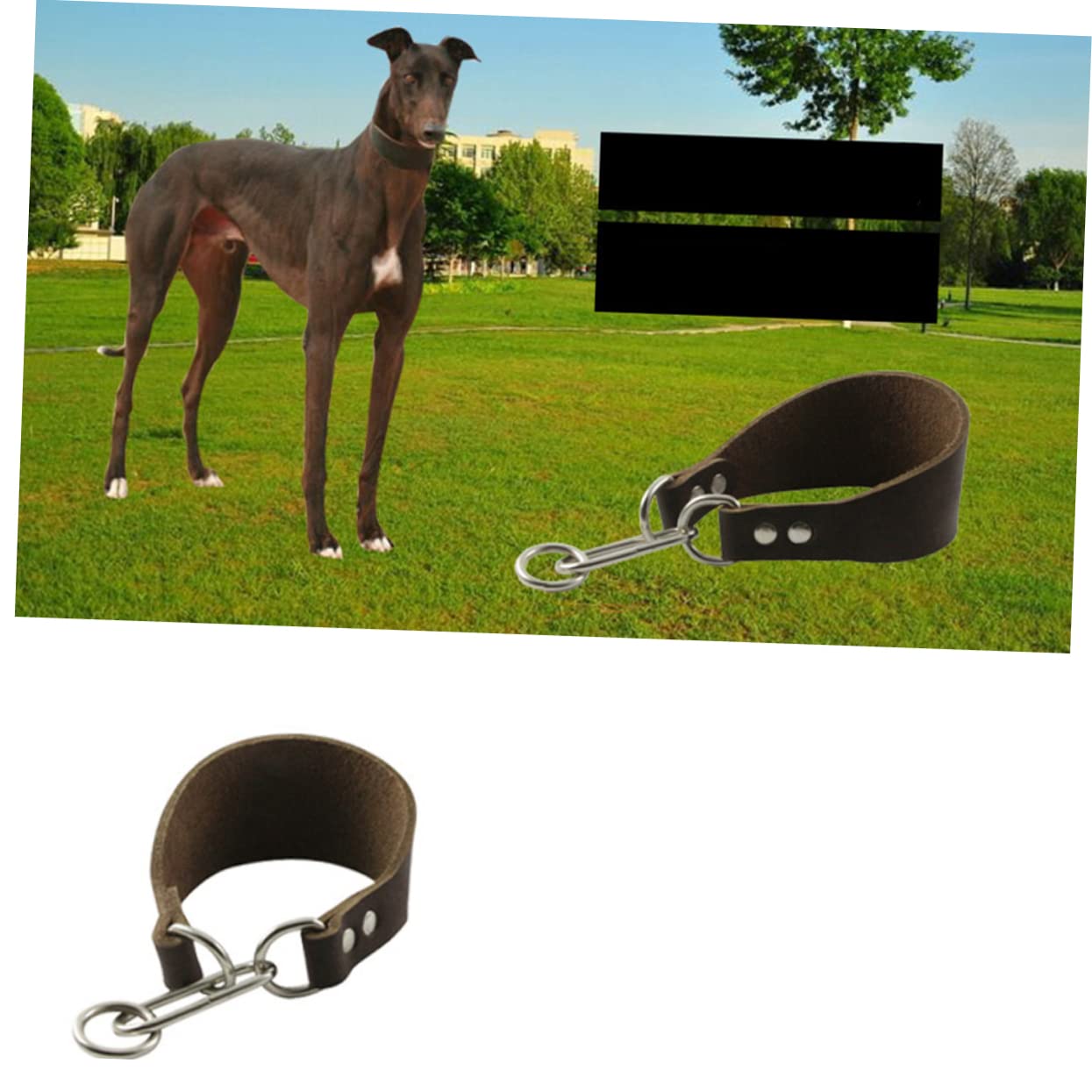 Housoutil 3pezzi Collare Per Cani Di Cattlehide Colore Caffè Design Per Protezione Del Collo Resistente e Stile Per Cani Con Collo Sottile