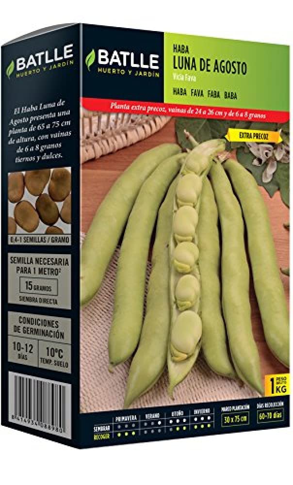 Batlle - Semi di fava