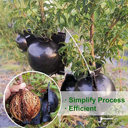 Miiim 10 Pcs Air Layering Propagation Kit With Zip Ties, Reusable Half Transparent Grafting Ball, Air Layering Pods Clear, Plant Rooting Grafting Box For Fast Propagation Plants (Medium) #TOP6