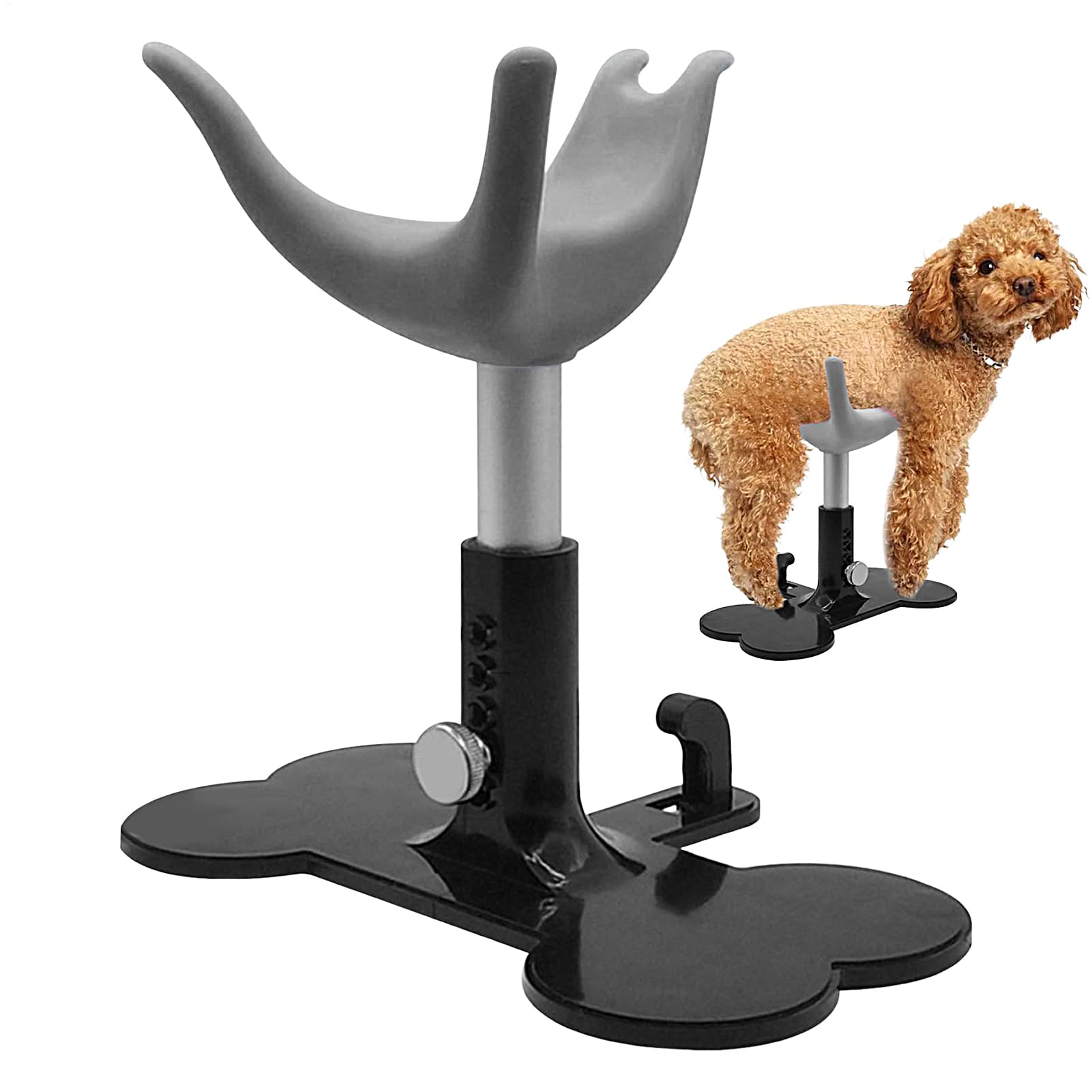 Silla Peluquería Canina Aseo Con Altura Ajustable | Escalera Ducha Cachorros Pequeños Escalera Auxiliar Regulable Ayuda Recorte Ducha y Baño Perro Pequeño y Altura