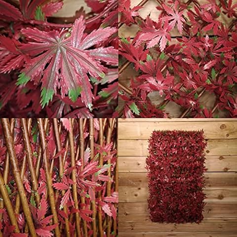 Samuel ALEXANDER 180cm x 60cm Artificial Fence garden Trellis Privacy Screening Indoor Outdoor Wall Panel - Red Acer Cover