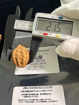 Amazon | A0044文玩屋 遊び胡桃 希少天然「ミニ3ムキ胡桃」「手で遊び