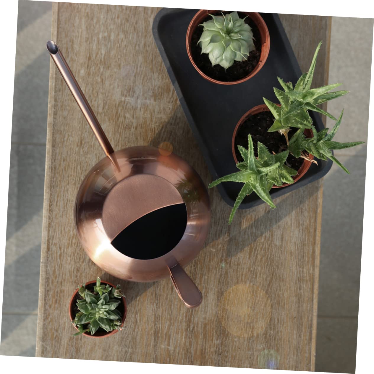 Konewka, Butelka na wodę ze stali nierdzewnej Metalowa konewka Konewka do Bonsai w pomieszczeniach Konewka do Bonsai Konewka do roślin domowych Rośliny Podlewanie zraszacz Czajnik Urządzenie do podlew