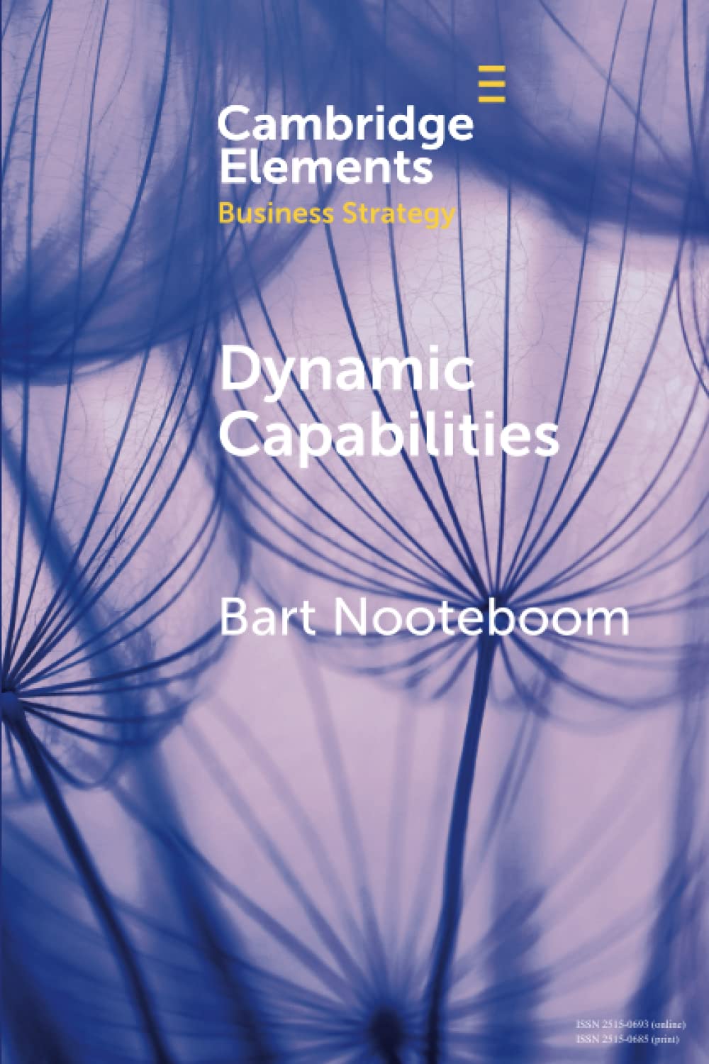 Dynamic Capabilities: History and an Extension (Elements in Business Strategy)