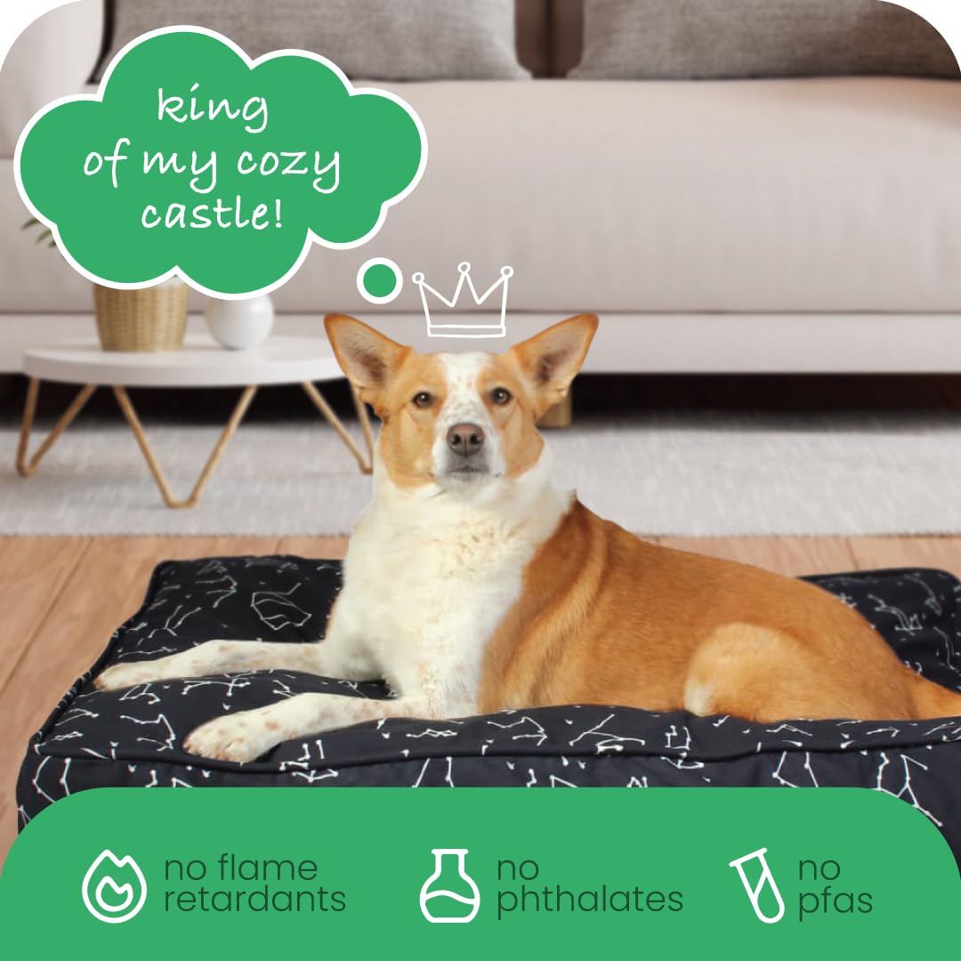Molly Mutt Copriletto per cani di piccola taglia, stampa Rocketman, misure 55,8 x 68,7 x 12,7 cm, 100% cotone, resistente, traspirante, sostenibile, lavabile in lavatrice