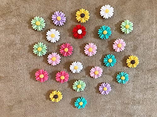 24Pcs Decorative Pushpins,Cork Board Tacks,Bulletin Board Tacks,Thumb Tack Decorative For Corkboard, Office Organization Or Home #TOP4