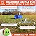 PFOTENGUT® Agility Set Hunde [11-TLG.] - vielseitiges Steckhürden-Set mit Hundetunnel, Slalom & Co. für Hundetraining und Hundesport - inkl. Zubehör & Transport-Tasche