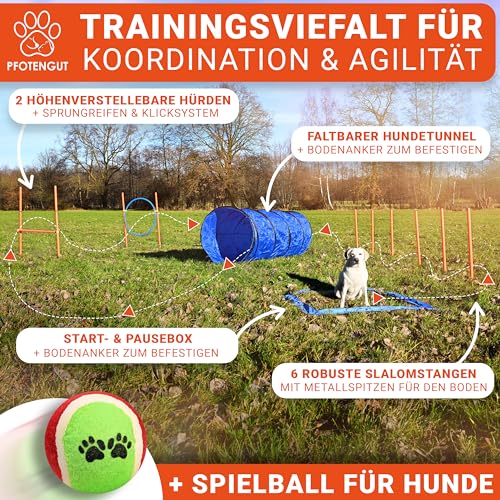 PFOTENGUT® Agility Set Hunde [11-TLG.] - vielseitiges Steckhürden-Set mit Hundetunnel, Slalom & Co. für Hundetraining und Hundesport - inkl. Zubehör & Transport-Tasche