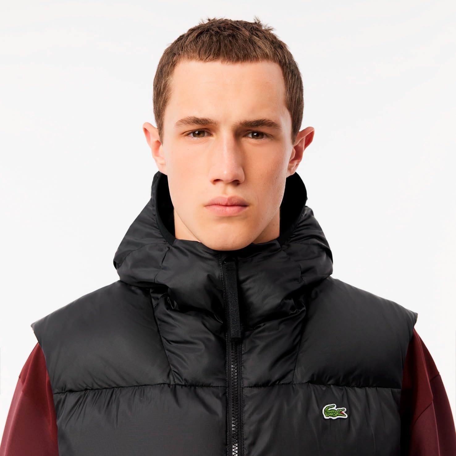 ラコステ ダウンベスト 楽天市場】ラコステ ピケ ダウン ベスト