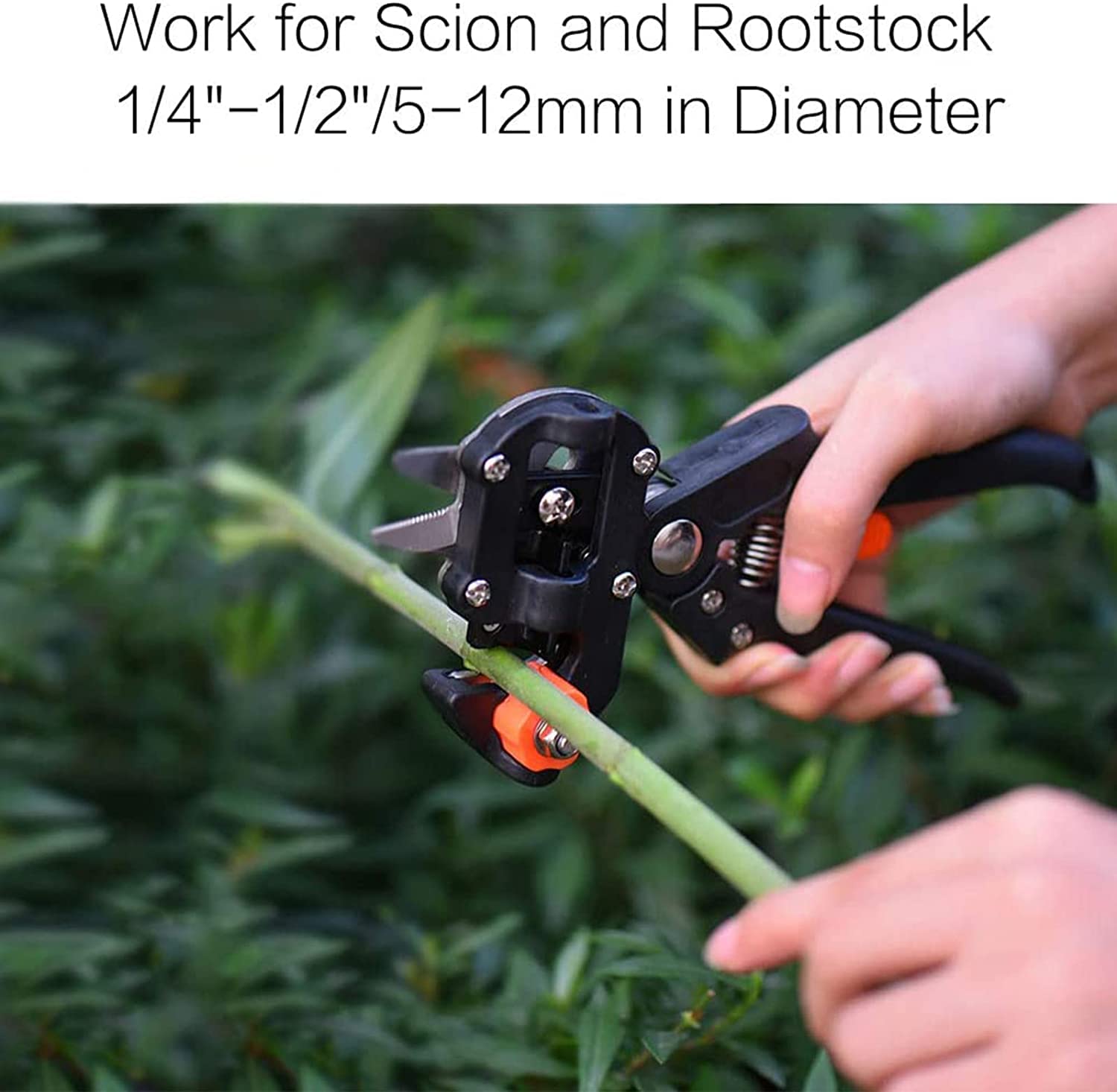 Kit per potatore per innesti, cesoie per potatura per piante da frutto da giardino professionali Set di utensili da taglio per innesti inclusi 3 lame di ricambio Nastro per innesti Forbice per in