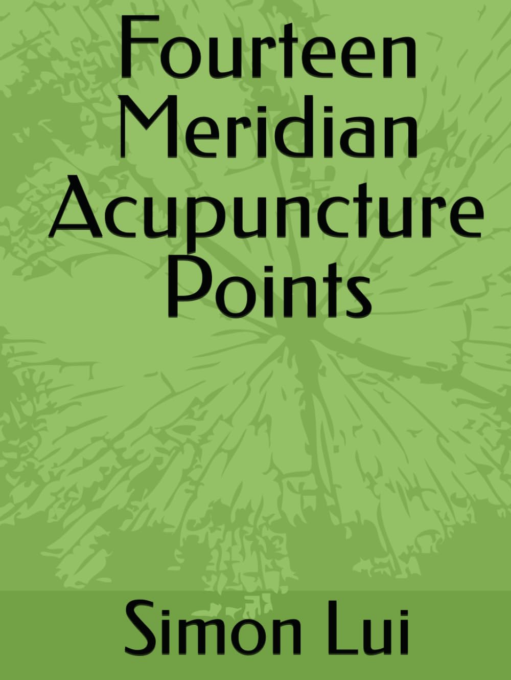Fourteen Meridian Acupuncture Points