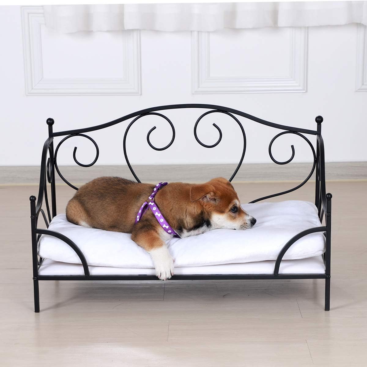 BabylandSummer Metal Frame Pet Bed, Animal Lounge Detachable Bed with Velvet Mattress