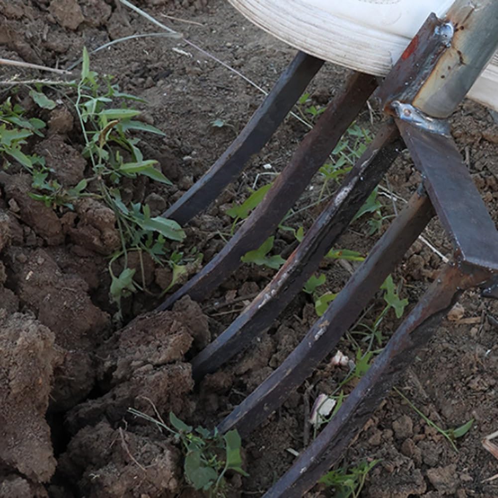 Forcone da Giardinaggio, Strumento da Giardinaggio A Forchetta Grande In Metallo con 5 Artigli da Giardinaggio per Compost, Forcone per Pacciamatura di Fieno