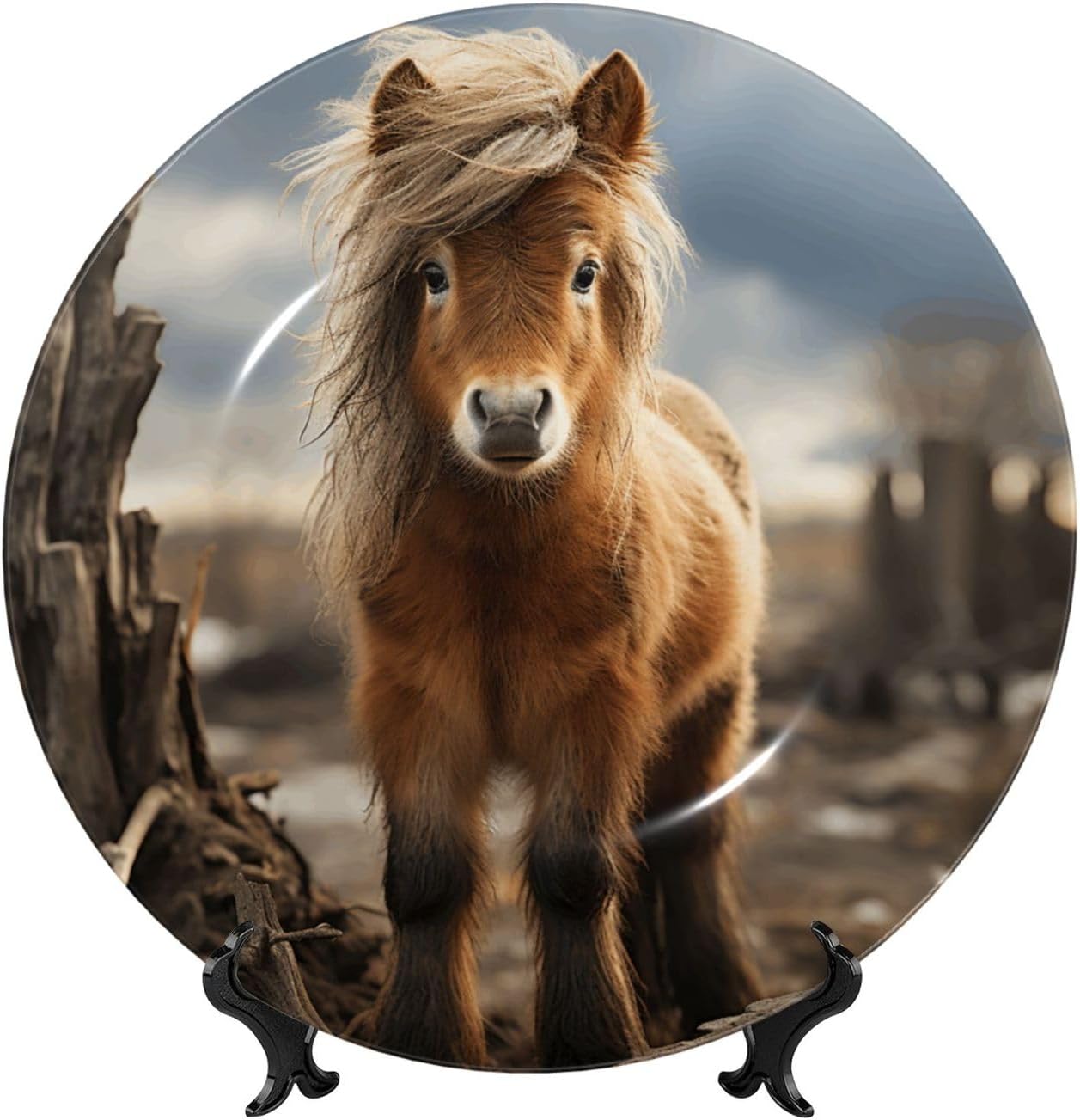 Bone China Decorative Plate with Display Pony Standing near the Fence Ceramic Plates Crafts Art Decor Dessert Plate Ceramic Ornament Porcelain Plates for Living Room Kitchen Table Home Decor