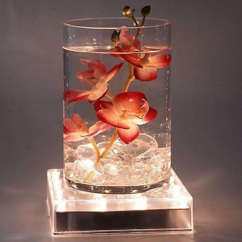 Miniatura 7 de LARDUX Base de luz multicolor de 5 pulgadas con control remoto y base de luz blanca cálida