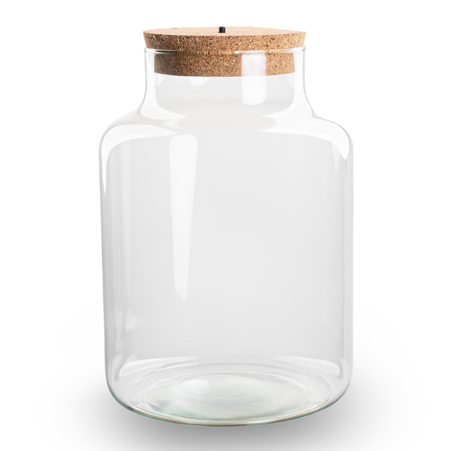 Terrario botella de cristal cerrada con corcho e iluminación LED – Altura 24,5 cm Ø17 cm – Terrario decorativo para plantas de vidrio reciclado