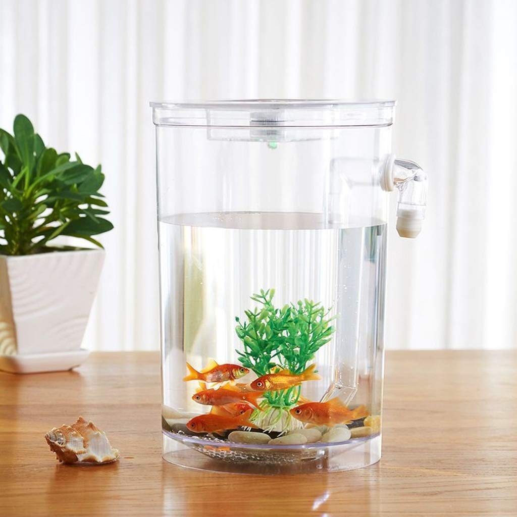 Aquarium Tank | Acryl Schildpad Huis met Klimmen Decor