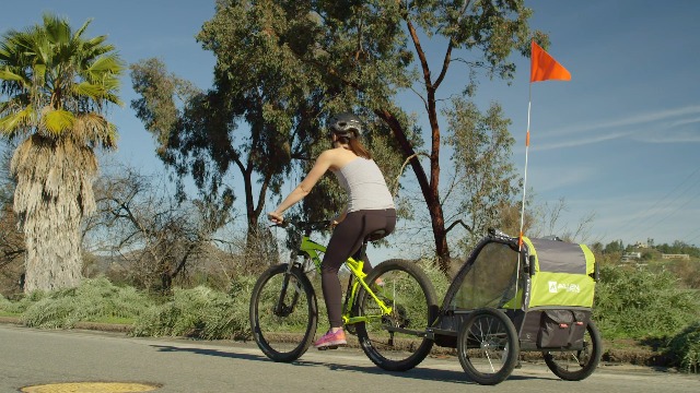 Allen Sports Deluxe Bike Trailer & Stroller - Image 8
