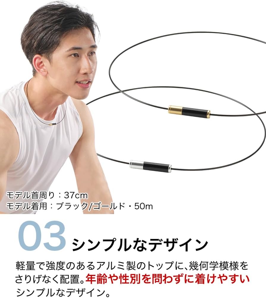 ファイテン(phiten) ネックレス RAKUWAネック ワイヤー EXTREME
