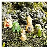 feen garten kosmos ▶ Wir verwenden die neuesten umweltfreundlichen Materialien, bitte verwenden Sie diese.